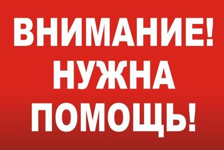 Блестяшки надписи, картинки с надписью о помощи