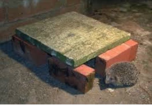 BiodiversitySoS's tweet photo. Off today to get bricks to make a #hedgehog feeding station that (with luck) local cat &amp; foxes cannot get into, to give any local hog a better chance. This sort of thing. Can't be too hard? Trick is apparently to remove the food after a few hours to deter rats. Any helpful tips? https://t.co/q2gsdfgB5U
