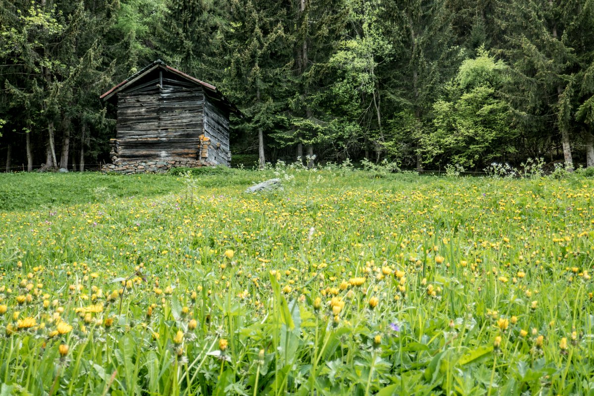 valdanniviers's tweet photo. Charming spring sceneries in #valdanniviers... The #hiking season is definitely on! https://t.co/EhJtsvTkXa
