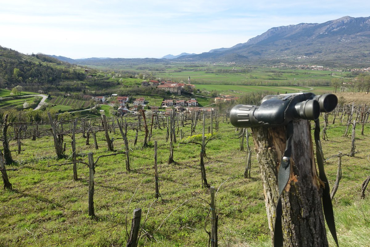 Slovenia_in_UK's tweet image. Finally spotted, finally recognized. Vipava Valley named among #bestineurope destinations by @lonelyplanet. #TTOT #TravelTuesday #Slovenia lonelyplanet.com/best-in-europe