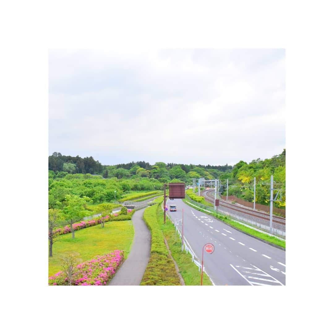 RyderGuo's tweet photo. 🚶千波湖(Senba Lake)
A nice place to have walking.
很好散步的地方!
#art #market #맞팔 #좋아요 #일상스냅 #포토 #インスタ映え #ibaraki #旅行 #カメラ男子 #写真好きな人と繋がりたい #photography #relax #beautifuljapan #travislane #TravelTuesday #walk #walker #lifestyle #city https://t.co/xeq8yUqpTr