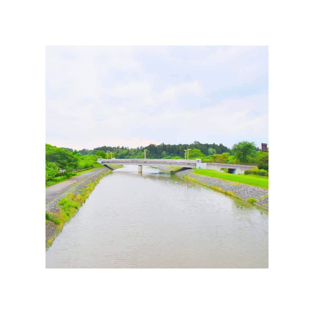 RyderGuo's tweet photo. 🚶千波湖(Senba Lake)
A nice place to have walking.
很好散步的地方!
#art #market #맞팔 #좋아요 #일상스냅 #포토 #インスタ映え #ibaraki #旅行 #カメラ男子 #写真好きな人と繋がりたい #photography #relax #beautifuljapan #travislane #TravelTuesday #walk #walker #lifestyle #city https://t.co/xeq8yUqpTr