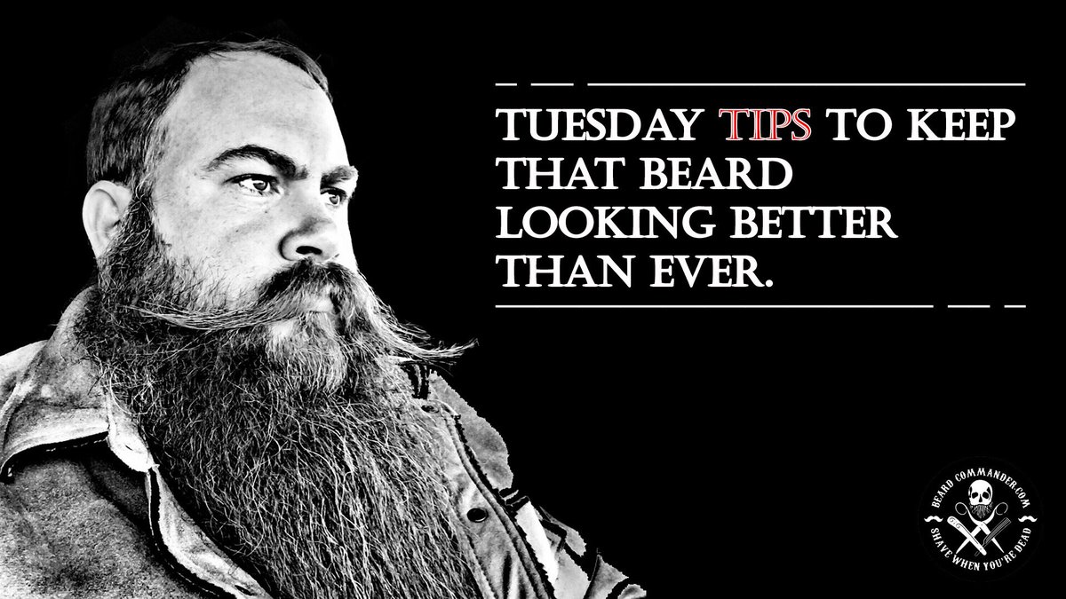 BeardCommander's tweet image. Wash It Regularly

This is especially important in the early stages of growth, when trapped food and skin cells can exacerbate the itchiness. Scrub your beard several times each week with a specialized cleanser, then gently pat dry.

#beardcommander #shavewhenyourdead