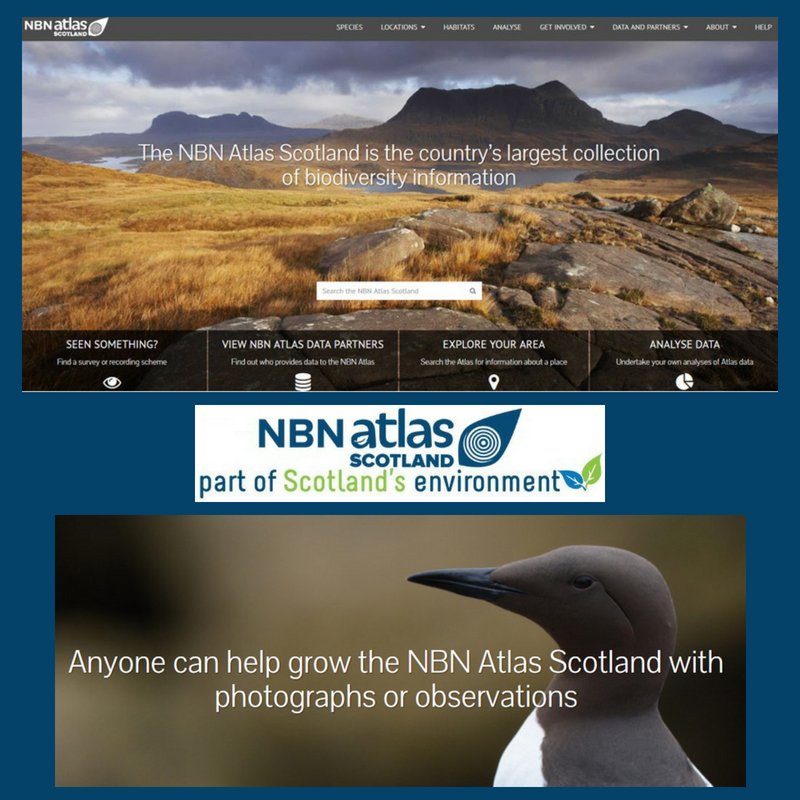 ScotEnvironment's tweet photo. NBN Atlas Scotland is an online portal that educates & informs people about Scotland’s natural world and improves biodiversity knowledge. Explore Scotland's species and habitats at https://t.co/3sqtjhEWmo #IntlBiodiversityDay #ScotEnvironment https://t.co/LvNYnarGvp