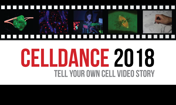 ASCBiology's tweet photo. Video is a great way to communicate the impact of your science. The #Celldance video program gives 3 member labs unrestricted $1,000 grants to make videos about their research. Submit a proposal today at https://t.co/hczZUIEPTJ https://t.co/Gz54Uah7HM