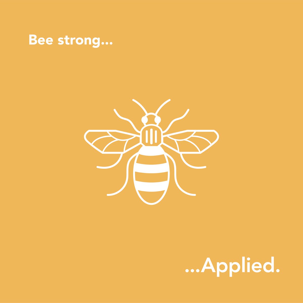 Our thoughts are with everyone affected by this tragic event this time last year 

#ManchesterBuzz #BEESTRONGMCR #hivesofpositivity #Awareness
