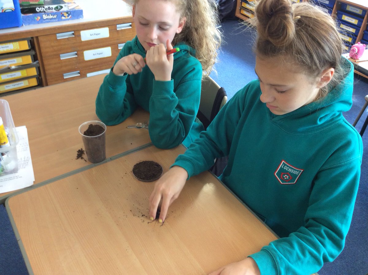 LochsidePS's tweet photo. Sampling soil samples from different areas around the school, helping us learn about the different layers and composition of soil. #P7K https://t.co/tS05HGaiMA
