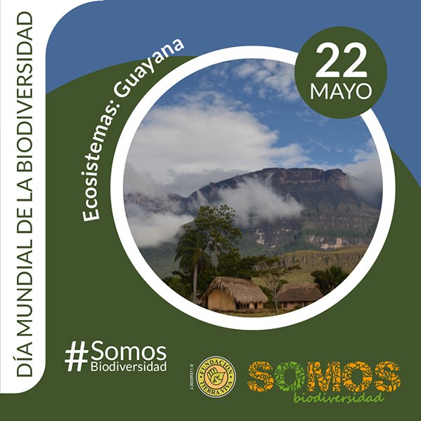 TierraVivaVzla's tweet photo. Día Internacional de la Diversidad Biológica - Selvas y bosques de montaña, bosques y selvas de galería, ecosistemas exclusivos de Guayana, ecosistemas marino-costeros #SomosBiodiversidad https://t.co/edcylM3WuZ