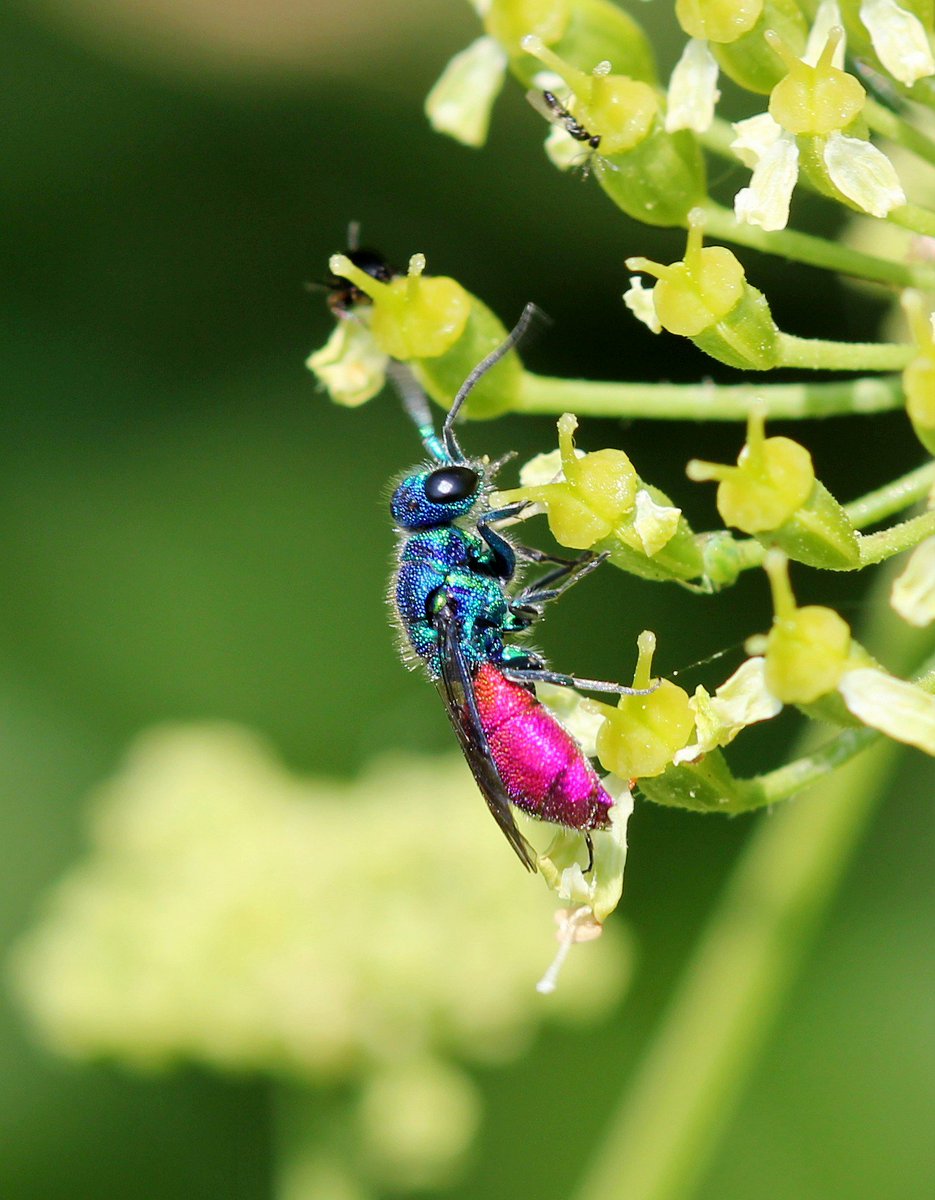 Martin Hey tweet media