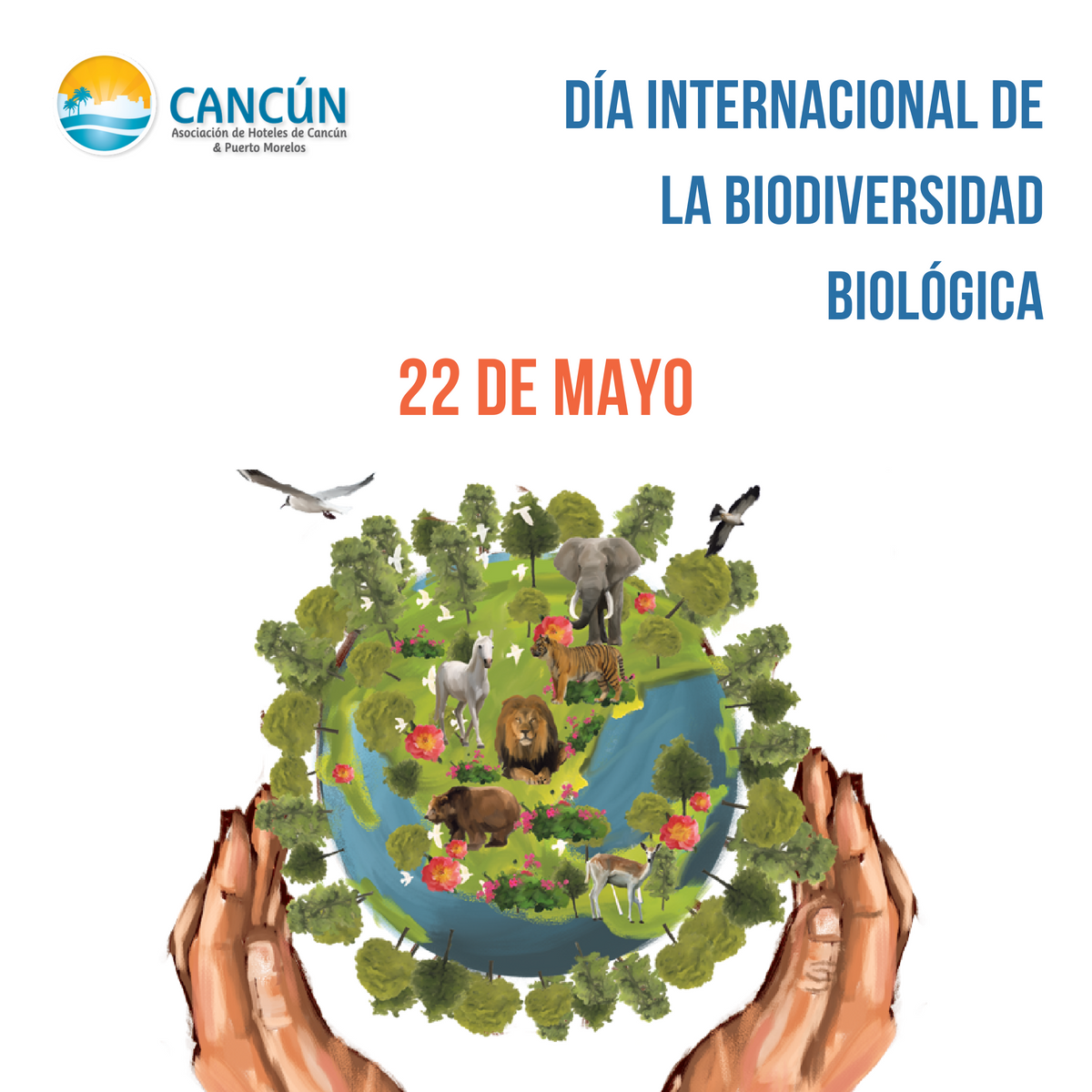 AHCancun's tweet photo. #diainternacionaldeladiversidadbiologica 25 años defendiendo la biodiversida. Día para informar y concienciar sobre conservación de diversidad biológica, utilización sostenible de componentes y participación justa y equitativa de beneficios de utilización de recursos genéticos. https://t.co/QDzixFVBbW
