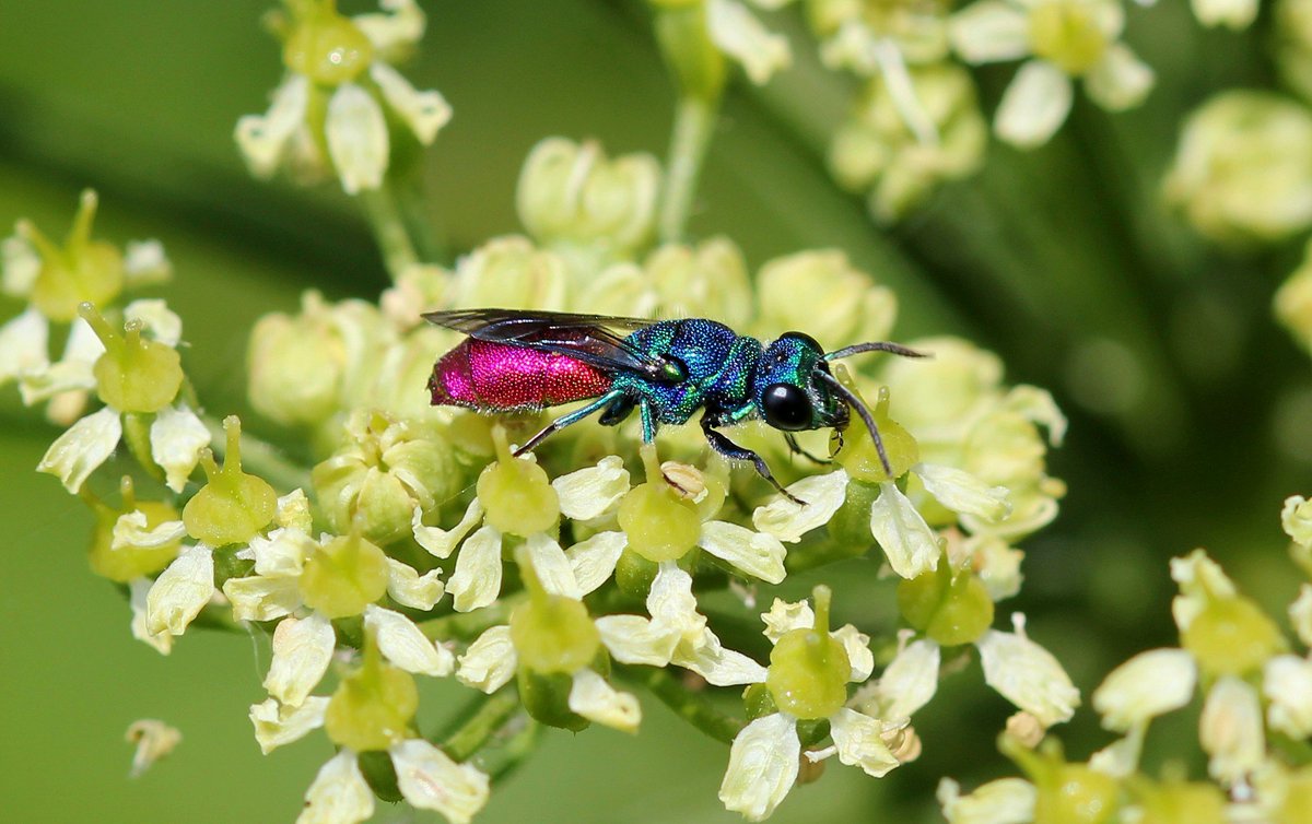 Martin Hey tweet media