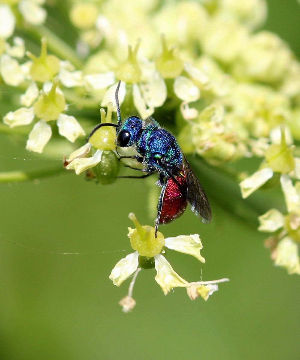 Martin Hey tweet media