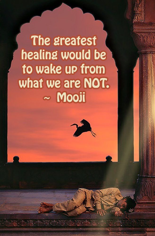 SalwinAnand's tweet photo. โItโs a great day to see the beautiful blessings within yourself. Be touched by your soul and your kindness.โ~Salwin Anand #TuesdayMotivation #happiness #kindnes #positivity #gratitude #JoyTrain #SuccessTrain #inspiration #BlessedTuesday #GreatAwakening #livegoodlife #hope #Life https://t.co/cNstH5epXQ