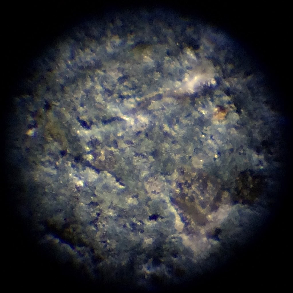 小さい顕微鏡を手に入れました。ミクロい世界はたのし〜 