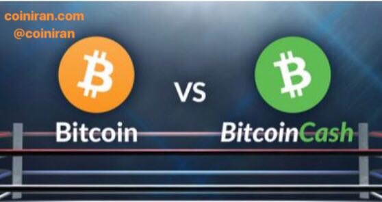 coiniran's tweet photo. 🔹مقایسه سرعت پذیرش #بیت_کوین و #بیت_کوین_کش از نقطه نظر @rogerkver
📍منبع: https://t.co/sfeim2OZ7J
@coiniran
#bitcoinvsbitcoincash #bitcoin #bitcoincash #btc #BCH #coiniran #rogerkver #rogerver #حوزه_رمزارز #حوزه_بلاکچین #خبر #خبرگزاری #مقایسه #مهم #رمزارز #فارسی #بیتکوین https://t.co/KGDocWTOGD