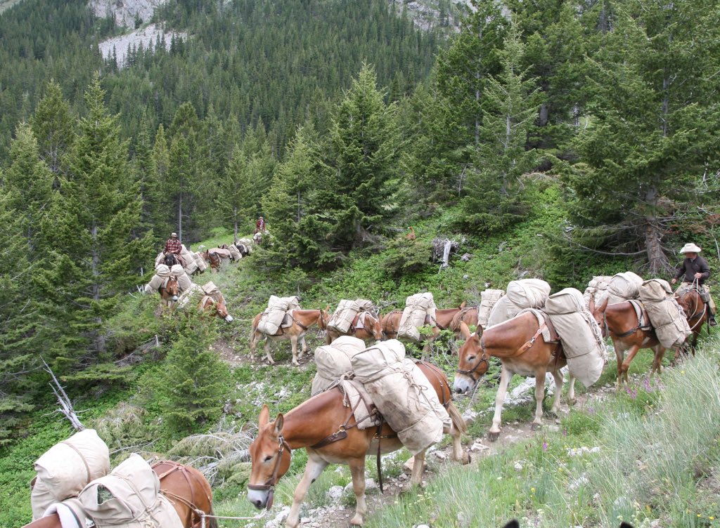 Web Jarvis tweet media