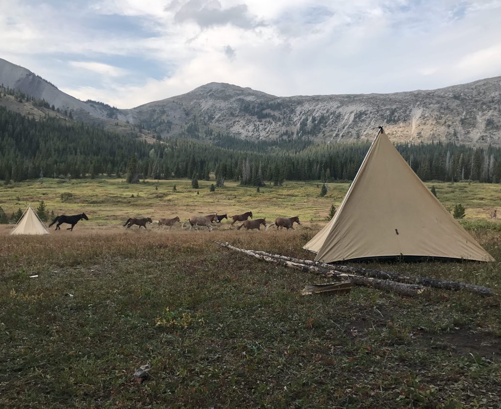 Web Jarvis tweet media