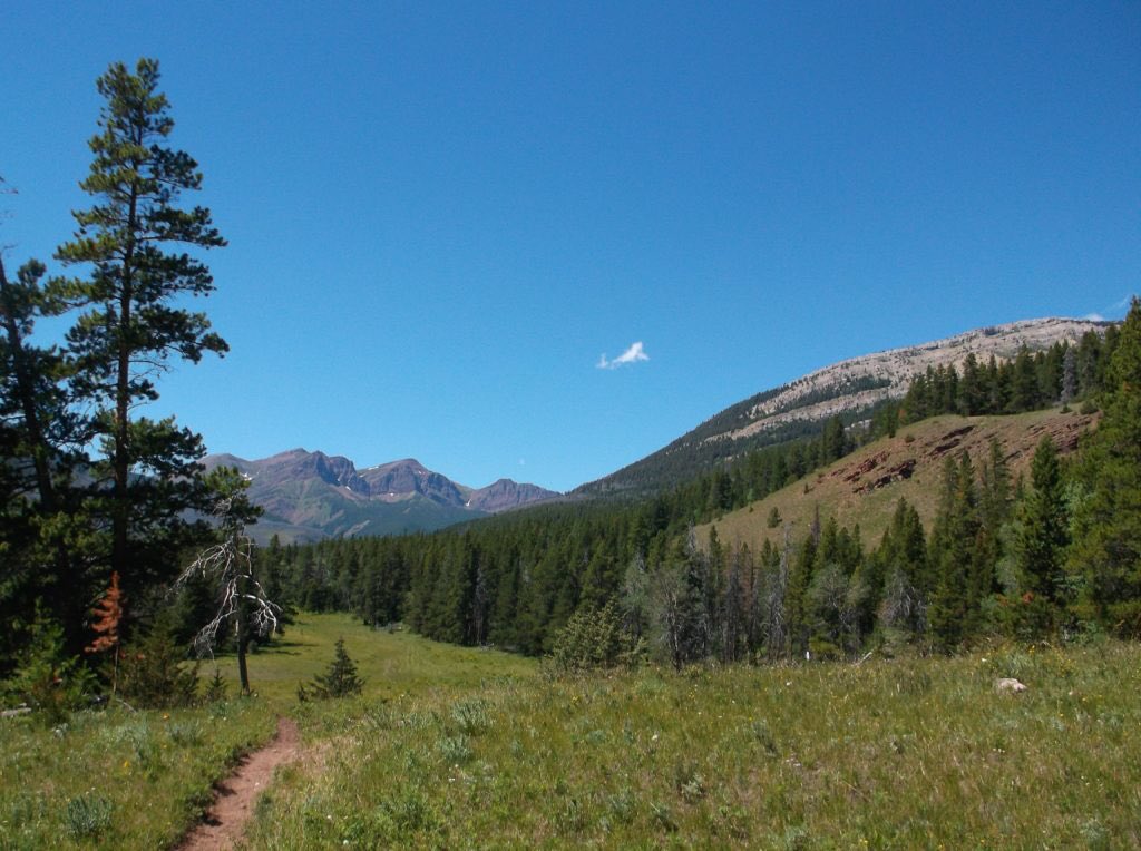 Web Jarvis tweet media