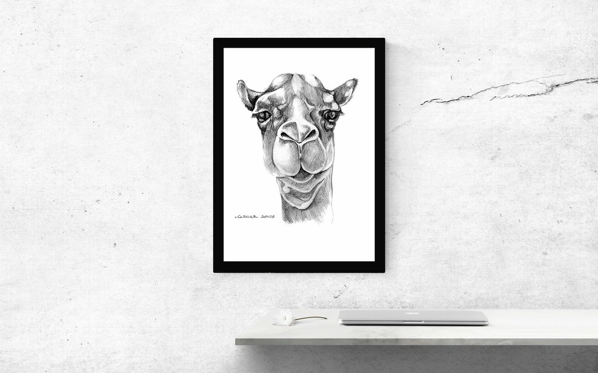 ItsCommonSense4's tweet photo. Meet "THE CAMEL”
A fine #art #print? or a framed fine art print?
Prices start from $12 // Check out all sizes at https://t.co/pIZs1tGKVo
#itscommonsense #fashion https://t.co/vamLFB5ccC
