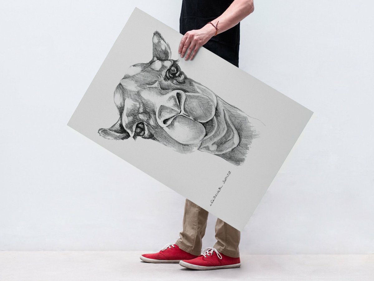 ItsCommonSense4's tweet photo. Meet "THE CAMEL”
A fine #art #print? or a framed fine art print?
Prices start from $12 // Check out all sizes at https://t.co/pIZs1tGKVo
#itscommonsense #fashion https://t.co/vamLFB5ccC