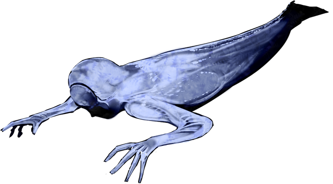 ニンゲンのtwitterイラスト検索結果 古い順 ニンゲンのtwitterイラスト検索結果 古い順