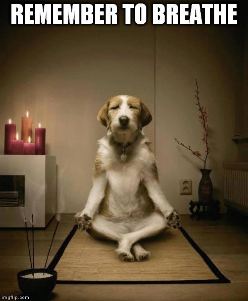 RioOtoya's tweet photo. Hello! There are a few places left still- Founder Fitness at @CampusLondon 
**Yoga and Breathing for Stress Reduction** This Thursday 24 May at 12 - 13:15 >> Sign up here: https://t.co/jFNnvrhAki
We are hosting this special workshop to develop shortcuts to relieve anxiety. https://t.co/M7FyJSPks9