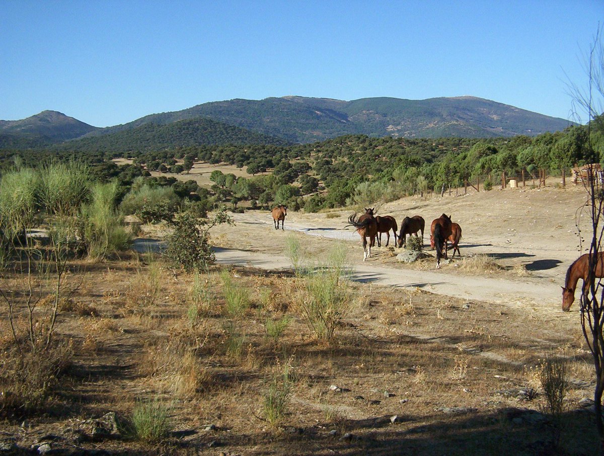 La Tejea,os desea un feliz Martes!! #mermeladaartesana #mermelada #artesanal