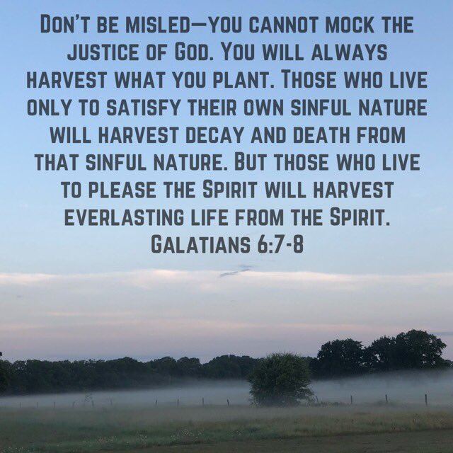 Bryan Packard (@bpfbrc) on Twitter photo 