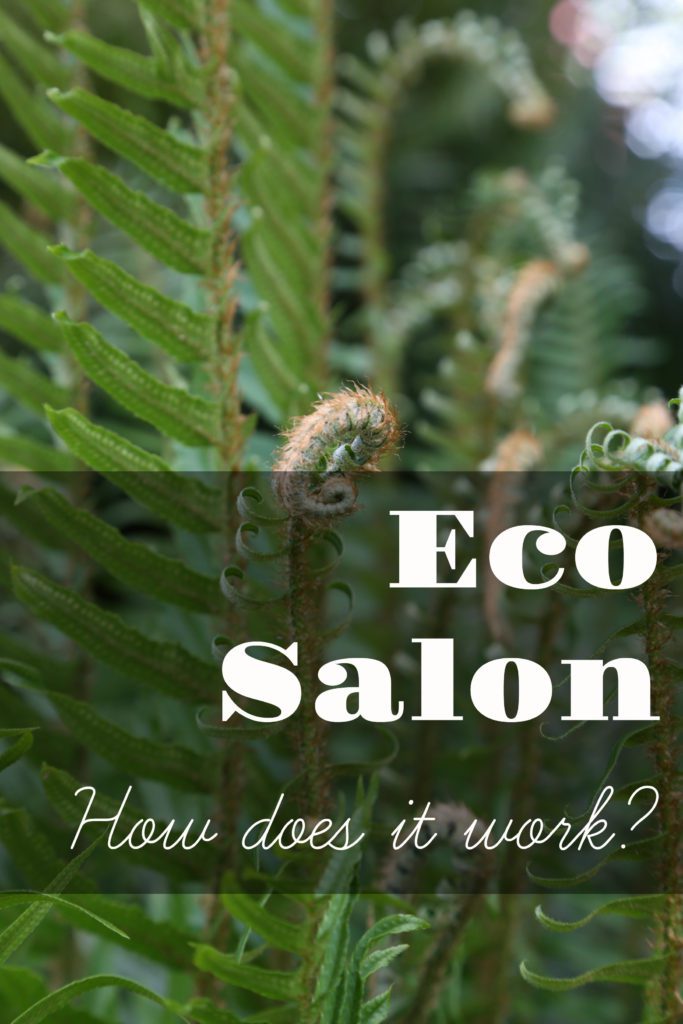 The Eco Salon: Interview with the Women behind Organic Hair Lab howtohairgirl.com/2018/05/the-ec…