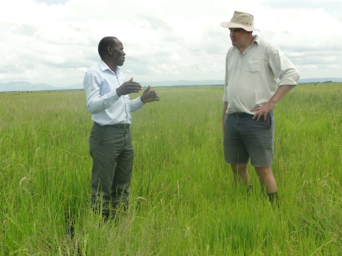 UNATHI_Labs's tweet photo. Leveraging the experience, passion and diversity of Africans, collaboratively working towards improved livelihood for #smallholders and their communities, engaging in sustainable agriculture practices. #UNATHI #DiversityWins #StrongFarmers #Africa https://t.co/AMVpwnGhCe