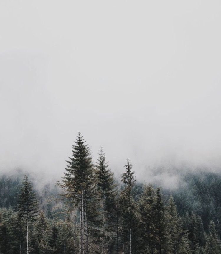 pine_ingboi's tweet photo. - ɢrαvιтy ғαllѕ
- тrαɴѕ dιpper
- #gfrp | #mvrp
- #multiship w/ cнeм
- ɴo pιɴe-ceѕт https://t.co/DKv2Ejtn5C