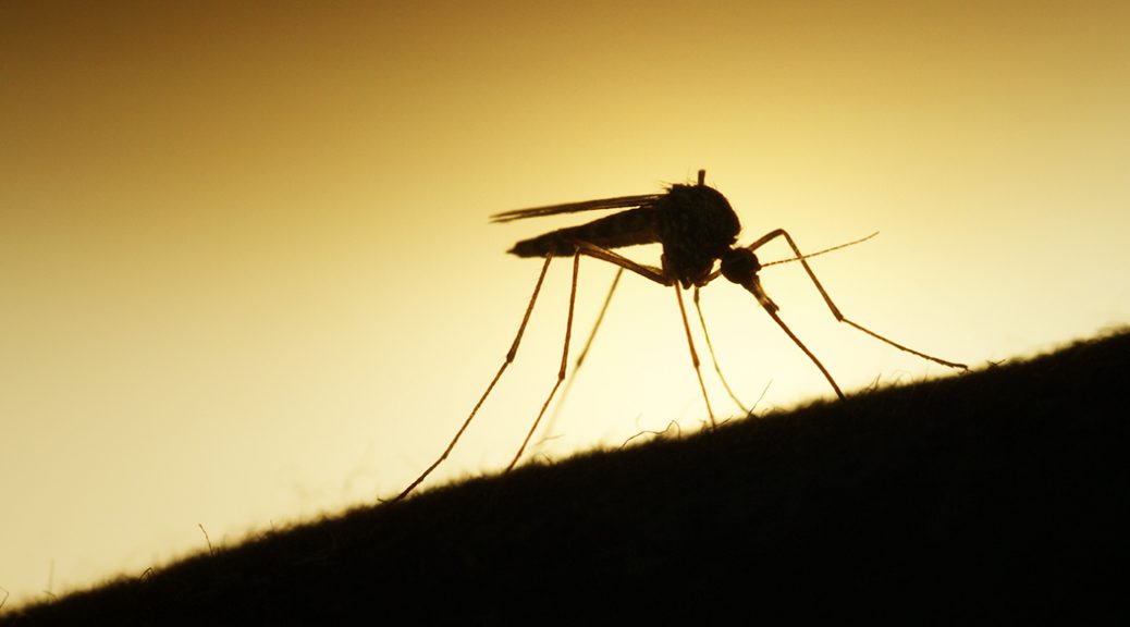 Mommyswall tweet media