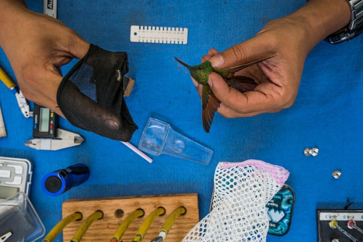 Plenty of great work from everybody in our latest newsletter mailchi.mp/e18b9e35c773/p…