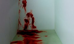 ClawsProject's tweet image. Qᴜɪᴢᴀ́ꜱ ꜱᴇᴀꜱ ᴄᴀᴘᴀᴢ ᴅᴇ ʙᴏʀʀᴀʀ ᴛᴏᴅᴀꜱ ʟᴀꜱ ᴍᴀʀᴄᴀꜱ﹐ ᴘᴇʀᴏ ʟᴏꜱ ʀᴇᴄᴜᴇʀᴅᴏꜱ ɴᴜɴᴄᴀ ᴅᴇꜱᴀᴘᴀʀᴇᴄᴇʀᴀ́ɴ.

﹣O.C
﹣Mᴜʟᴛɪᴠᴇʀꜱᴇ.
﹣Oᴘᴇɴ ᴛᴏ ᴘʟᴏᴛꜱ.
﹣Sᴇʀɪᴏᴜꜱ/CʀᴀᴄᴋRP
﹣MD/TL/Mᴇɴᴛɪᴏɴꜱ.