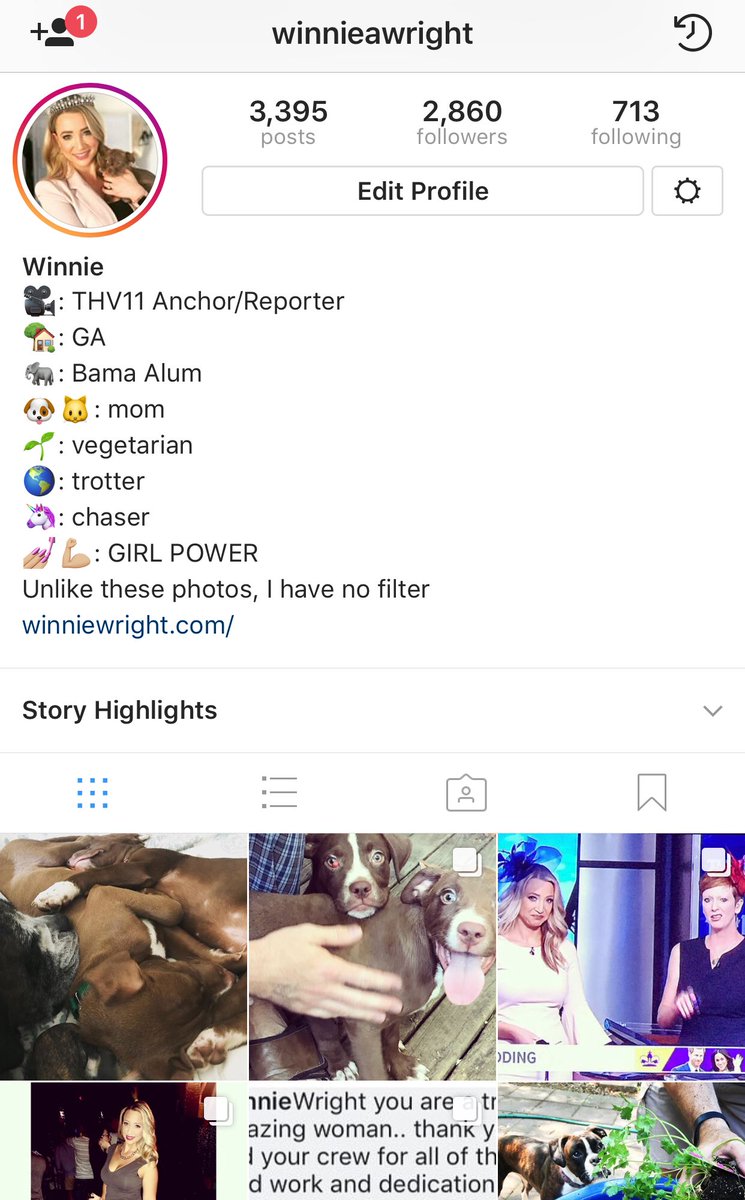 WinnieWrightTV's tweet photo. Want an inside-look at what it’s like to cover #arprimaries from the news side?
Follow me on Instagram: winnieawright  and click story. https://t.co/Dlt4yDFmdz