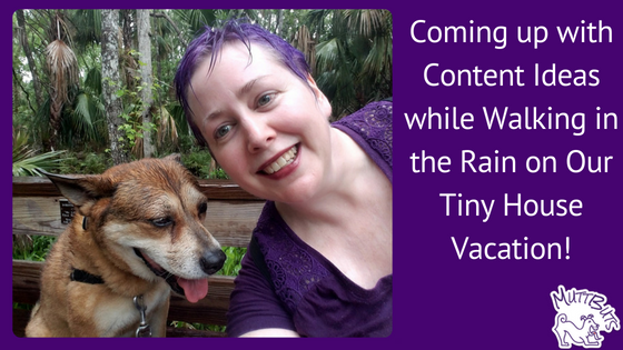 MuttButs's tweet image. {Infographic} Created Content for Your Pet Business

20 Content Ideas for your Pet Business

#CreatedContent #OnlineMarketing #Infographic- mailchi.mp/f84406f9bd1e/i…