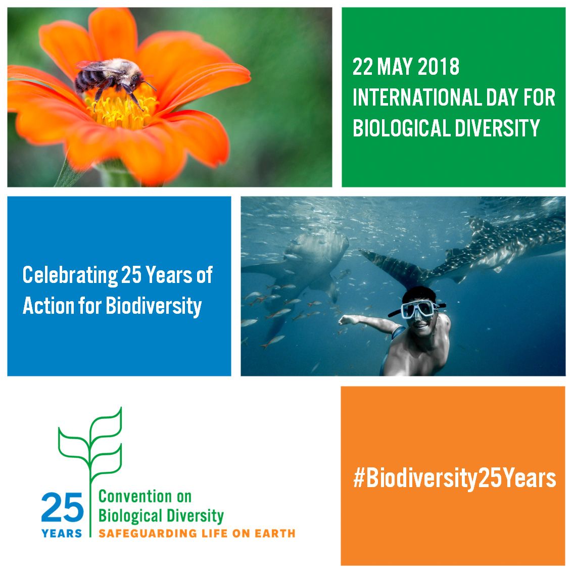 KeepRowlett's tweet photo. The United Nations has proclaimed May 22 The International Day for Biological Diversity (IDB) to increase understanding and awareness of biodiversity issues. https://t.co/QVyI4ExUZn