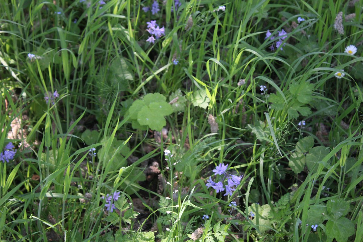 Kerion Hunt tweet media