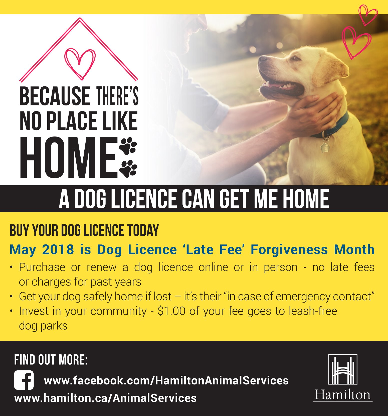 How Many Dogs Can You Have In Hamilton