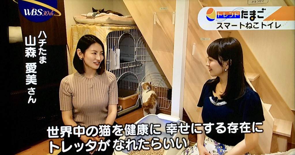 ぴよ園長 V Twitter 昨夜のwbs トレンドたまご 鉄拳さんのパラパラ漫画を思い出し涙腺緩む T Co Tnjj0kuayi ネコトイレ