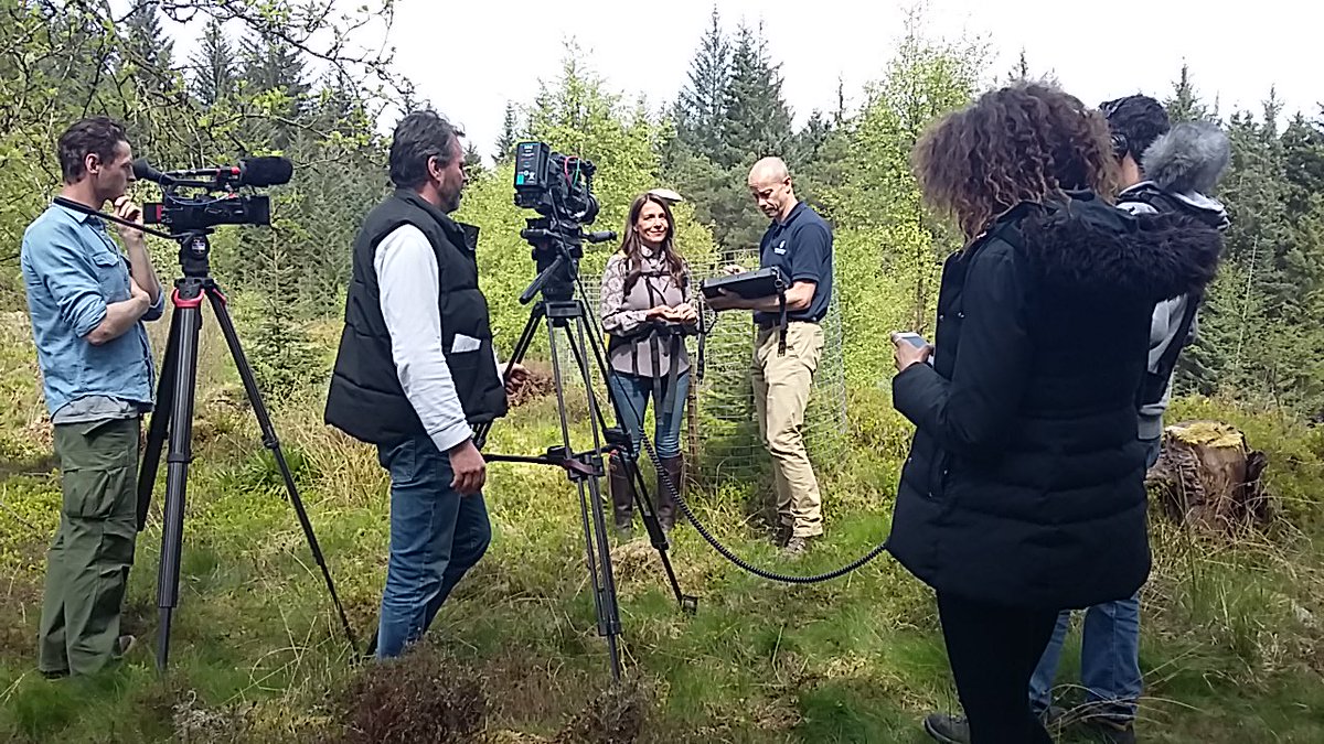 PerthshireCCP's tweet photo. PCCP is going to get some air time this year when it appears on BBC's Escape to the Country! I took their film crew out to the Hermitage and Craigvinean Forest to chat about #PerthshireCCP, my work + the area. 🌲🎥 #dunkeld #trees #conservation @PKCTrust https://t.co/INKinY5Gry https://t.co/l8IWrDr58J