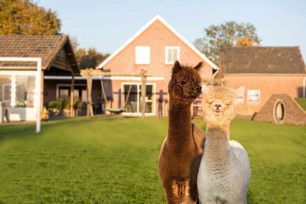 BuitenBusiness's tweet photo. Mooie review voor De Vilt: "Erg goed! Locatie, eten etc, men was erg tevreden"! Een 9 voor @DeViltBeugen https://t.co/lZpr2rlTpE