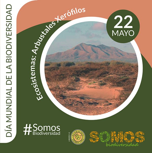 ElArcaCriolla's tweet photo. #22Mayo Día de la Diversidad Biológica - 11 ecosistemas han sido identificados en Venezuela #SomosBiodiversidad https://t.co/PAKhRWVzbJ
