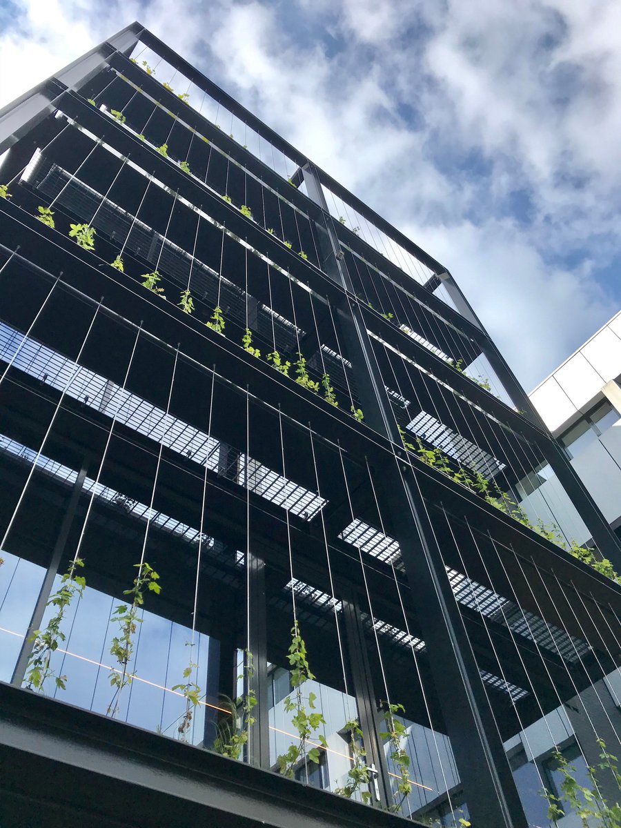 Het gerenoveerde kantoor van Witteveen+Bos in Deventer is op 18 mei feestelijk geopend. De energiezuinigheid van het gebouw is verbeterd van label E naar A+++.  Samen met de ingenieurs van W+B maakten onze architecten het ontwerp voor deze showcase van duurzaam renoveren.