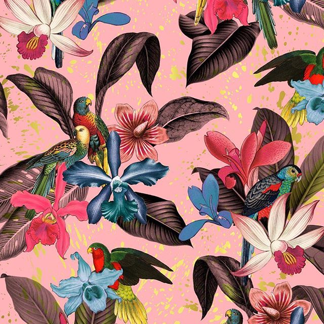 patternbank's tweet image. patternbank.com/helloakiko
・・・
Tropical Botanical with Parrots, Orchids and Gold Sprinkling✨, a new seamless pattern on @patternbank #botanicalart #botanicalpattern