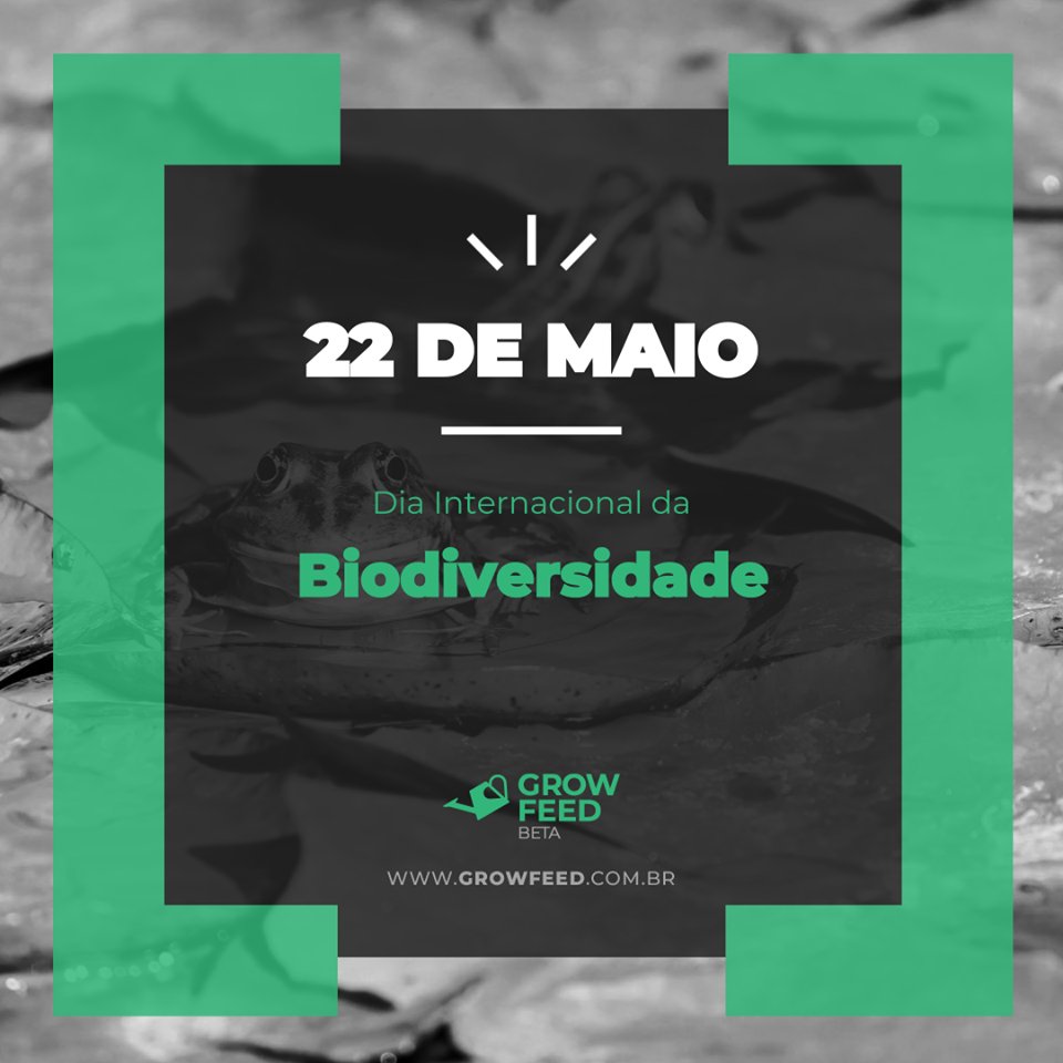 growfeedbr's tweet photo. 🌱Hoje é dia 22 de maio: Dia Internacional da Biodiversidade. Que tal cuidar desta biodiversidade para que tenhamos um futuro cada vez melhor? Ótimo dia! #DiadaBiodiversidade #Growfeed #Biodiversidade https://t.co/woR9mzilsp