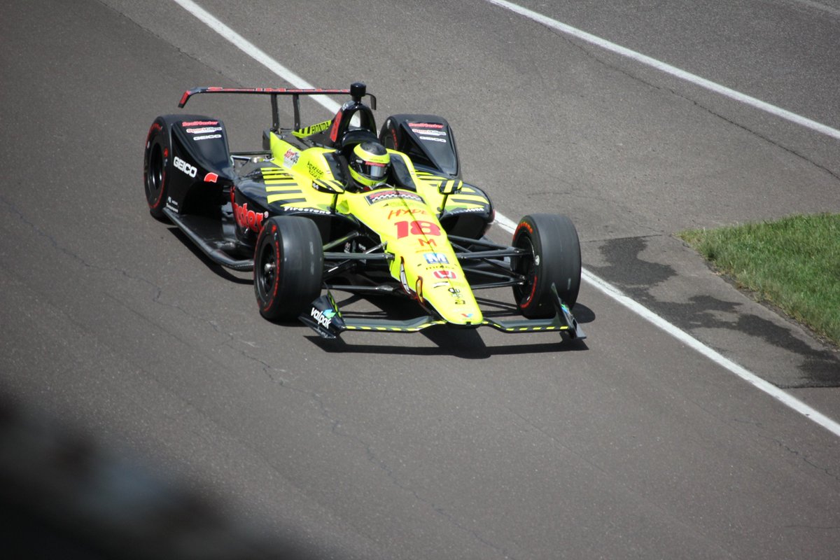 busy bee dog toy best in show