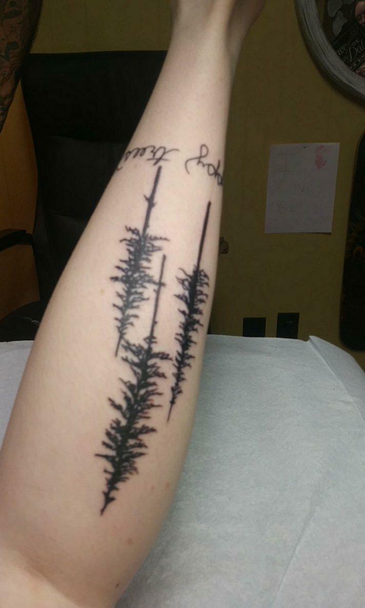 X 上的Jennys Mind:「@BobRoss My new bob ross inspired tattoo https://t.co/G8GUHa0WQU」 / X