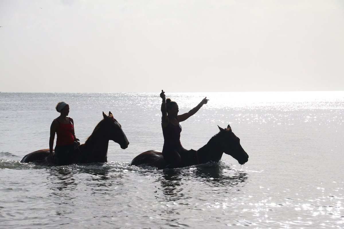 BeingWithHorse's tweet photo. freedom https://t.co/K6YHLIwKko
