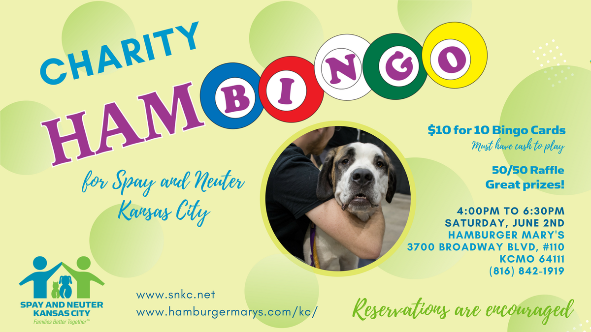 prckcmo's tweet photo. We will be at @MarysKansasCity on June 2nd! Make your reservation now and help us raise money to end pet homelessness in #KCMO and beyond! #fundraising #snkc #petoutreach https://t.co/ALO6YXa43z